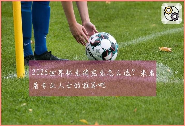 2026世界杯竞猜究竟怎么选？来看看专业人士的推荐吧
