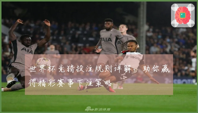 世界杯竞猜投注规则详解，助你赢得精彩赛事下注策略