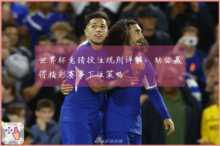世界杯竞猜投注规则详解，助你赢得精彩赛事下注策略